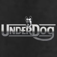 Underdog Chromania Adult Drive Performance Visor