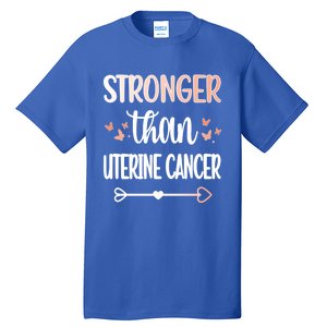 Uterine Cancer Warrior Peach Ribbon Endometrial Cancer Gift Tall T-Shirt