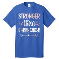 Uterine Cancer Warrior Peach Ribbon Endometrial Cancer Gift Tall T-Shirt