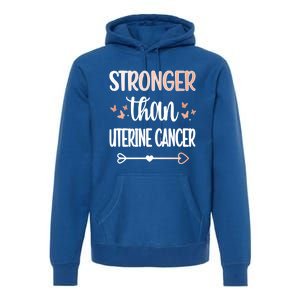 Uterine Cancer Warrior Peach Ribbon Endometrial Cancer Gift Premium Hoodie