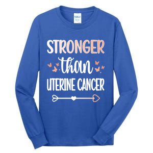 Uterine Cancer Warrior Peach Ribbon Endometrial Cancer Gift Tall Long Sleeve T-Shirt