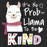 Unity Day Orange No Prob Llama Be Kind Anti Bullying Premium Pullover Hoodie