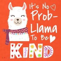 Unity Day Orange No Prob Llama Be Kind Anti Bullying T-Shirt