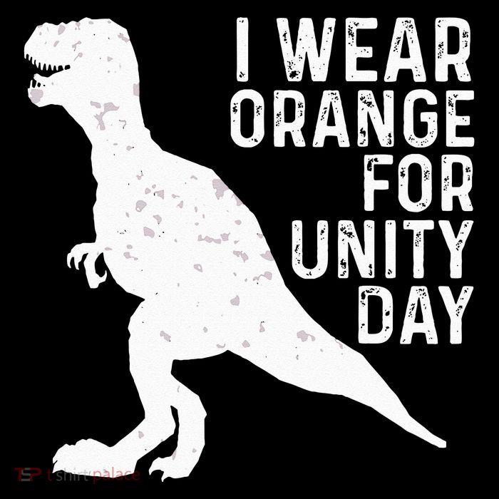 Unity Day Orange Kids Unity Day Dinosaur Tall Hoodie