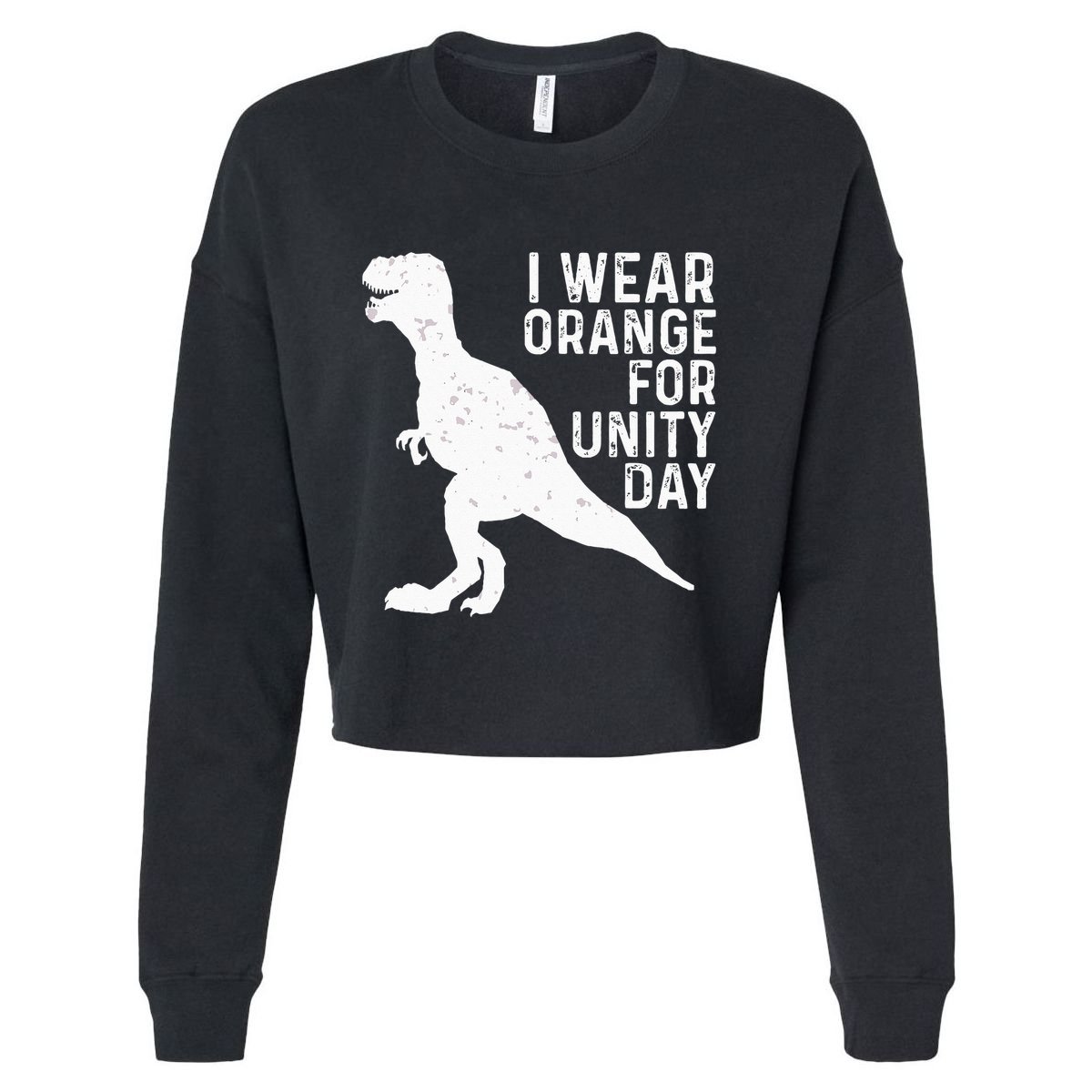 Unity Day Orange Kids Unity Day Dinosaur Cropped Pullover Crew