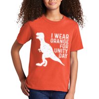 Unity Day Orange Unity Day Dinosaur Kids T-Shirt
