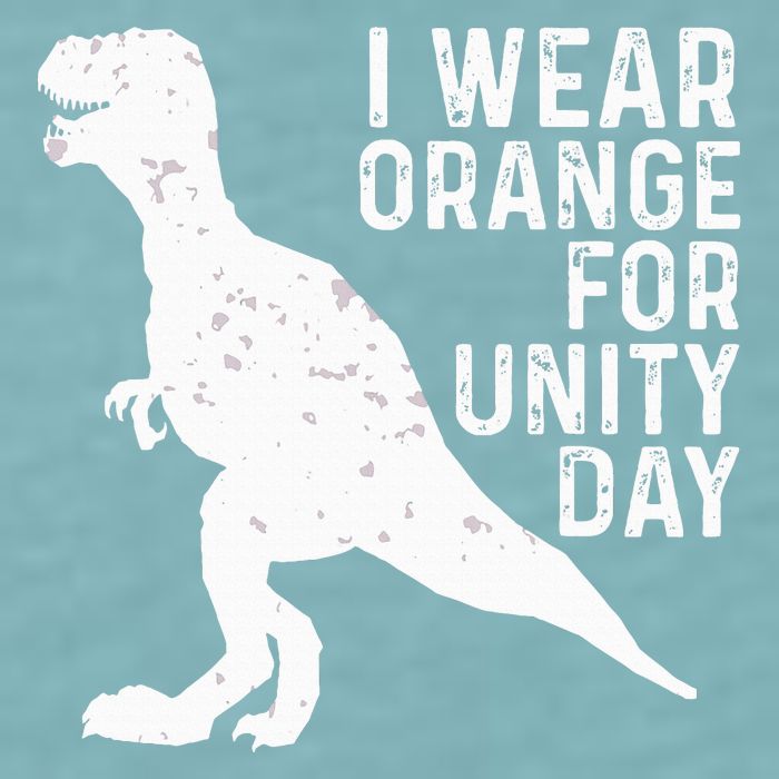 Unity Day Orange Unity Day Dinosaur Sueded Cloud Jersey T-Shirt