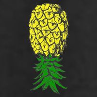 Upside Down Pineapple Gift 11oz C Handle Ceramic Mug