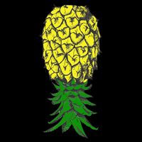 Upside Down Pineapple Gift Flat Bill Trucker Hat