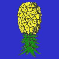Upside Down Pineapple Gift Women's V-Neck T-Shirt