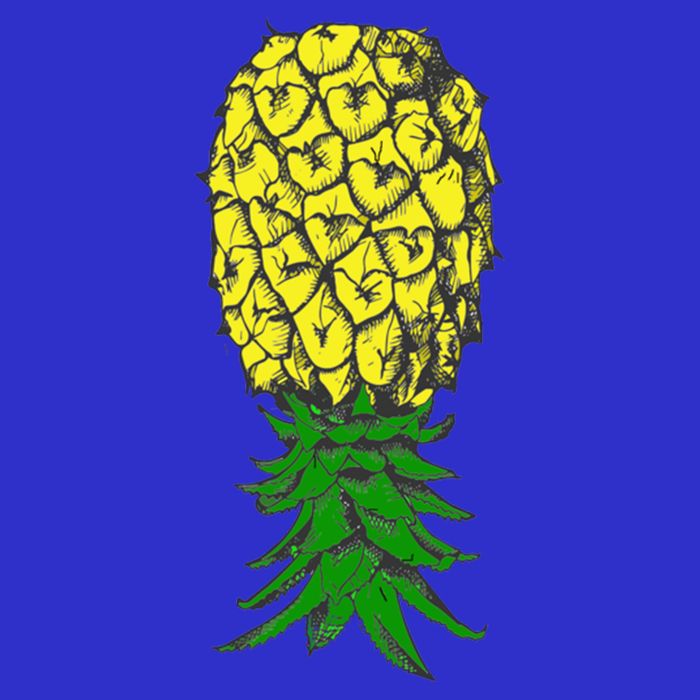 Upside Down Pineapple Gift Women's V-Neck T-Shirt