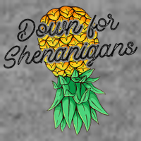 Upside Down Pineapple Down For Shenanigans Funny Swinger Hooded Wearable Blanket