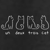 Un Deux Trois Cat Funny Hat