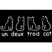 Un Deux Trois Cat Bumper Sticker