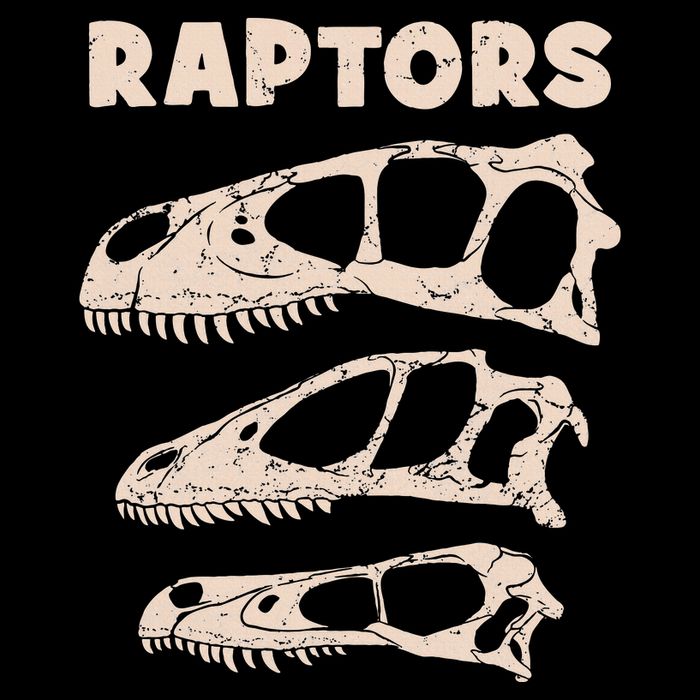 Utahraptor Deinonychus Velociraptor Skull Fossil Hunter Drawstring Bag