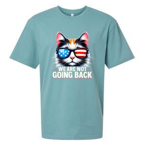 Us Election Day 2024 America Flag Cat We Are Not Going Back Sueded Cloud Jersey T-Shirt