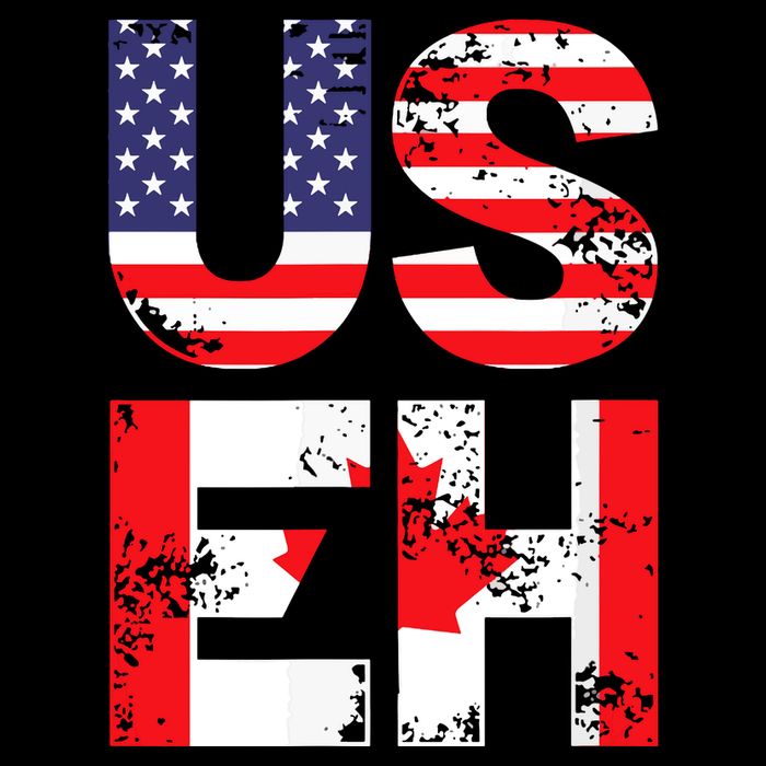 Us Eh Funny Canada American Flag City Backpack