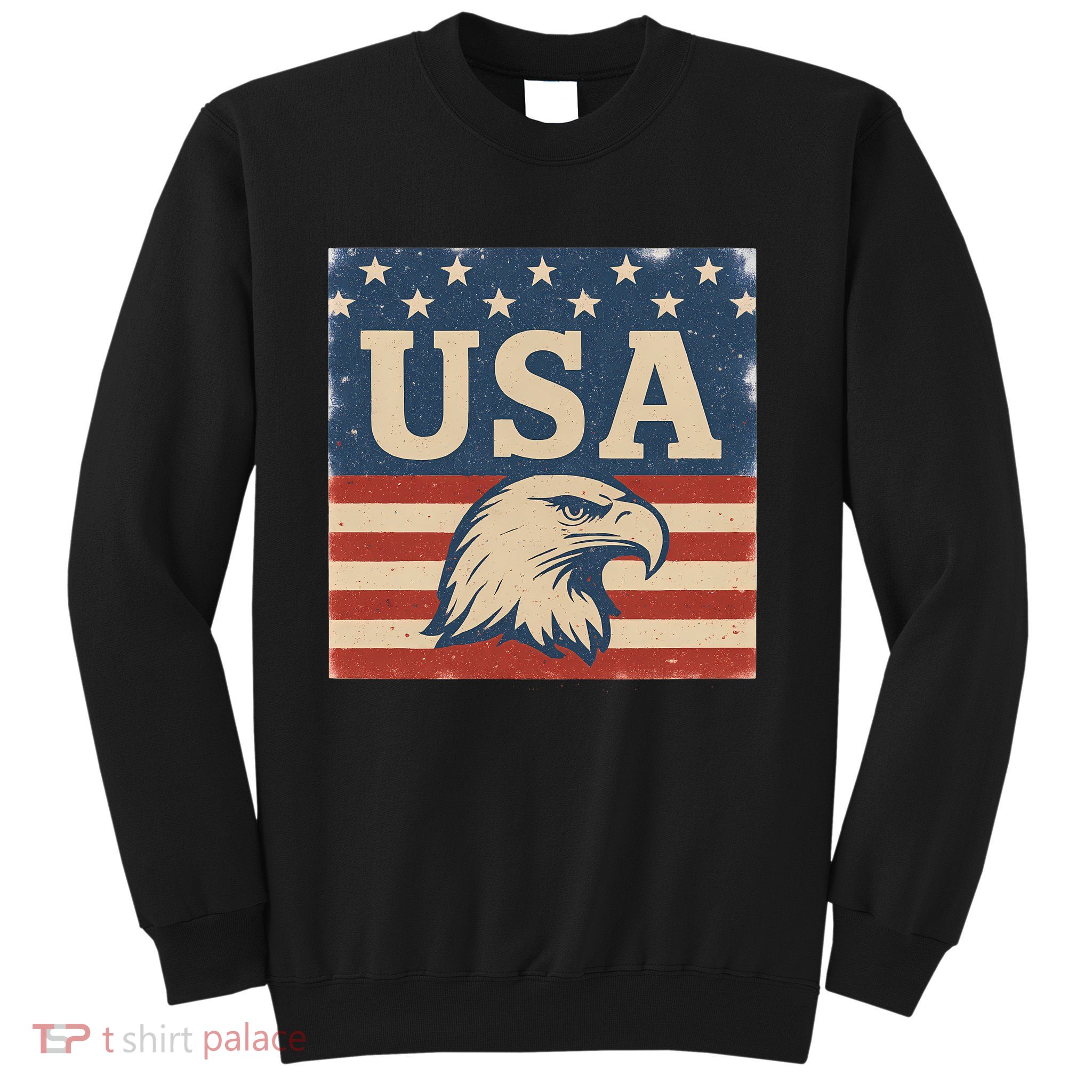USA Eagle Graphic Sweatshirt