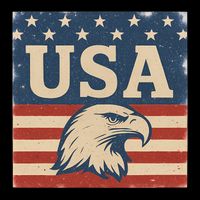 USA Eagle Graphic Poster