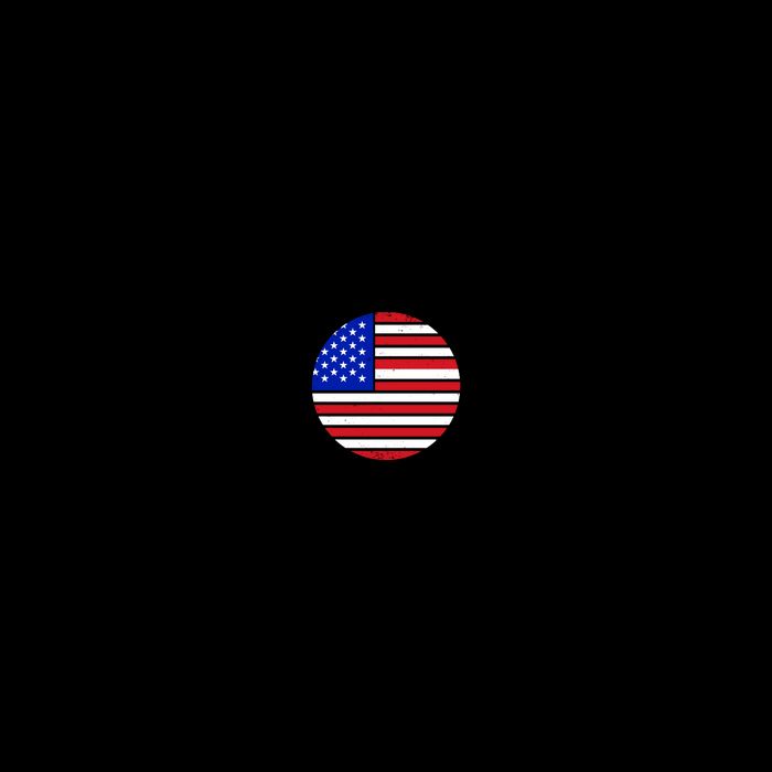 USA Emblem City Backpack