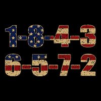 USA Flag 18436572 Firing Order Small Block Cropped Pullover Crew