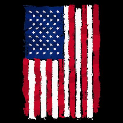 USA Flag 4th July Red American White Star Blue Stripes 4 Day T-Shirt