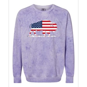 USA Flag American Buffalo Colorblast Crewneck Sweatshirt