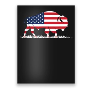 USA Flag American Buffalo Poster