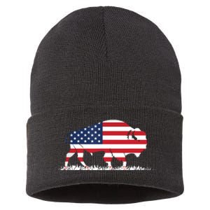 USA Flag American Buffalo Sustainable Knit Beanie