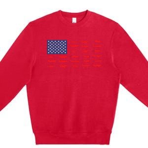 US Flag Airplanes Patriotic Aviation American Pilot Gift Premium Crewneck Sweatshirt