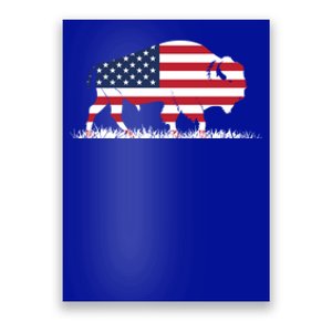 Usa Flag American Buffalo Cool Gift Poster