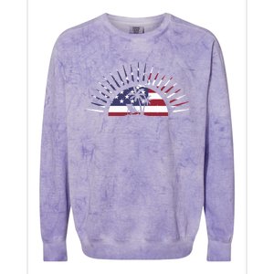 Usa Flag Beach Memorial Day Fun Veteran Tree Graphic Cute Gift Colorblast Crewneck Sweatshirt