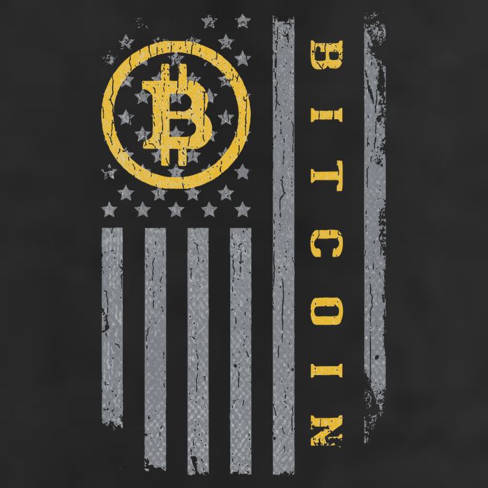 Usa Flag Bitcoin Distressed Digital Currency Btc Crypto Coin Cool Comfort Performance Bucket Hat