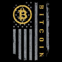 Usa Flag Bitcoin Distressed Digital Currency Btc Crypto Coin Cropped Pullover Crew