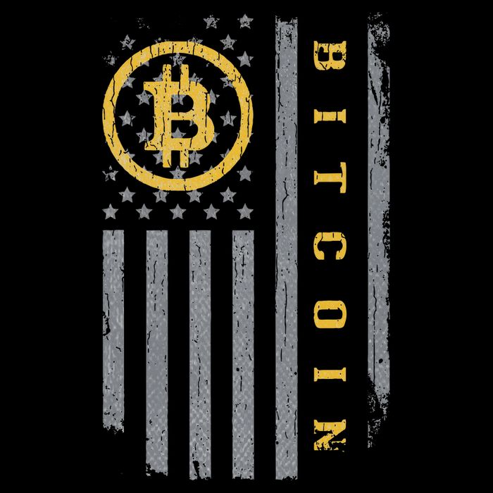 Usa Flag Bitcoin Distressed Digital Currency Btc Crypto Coin Cropped Pullover Crew