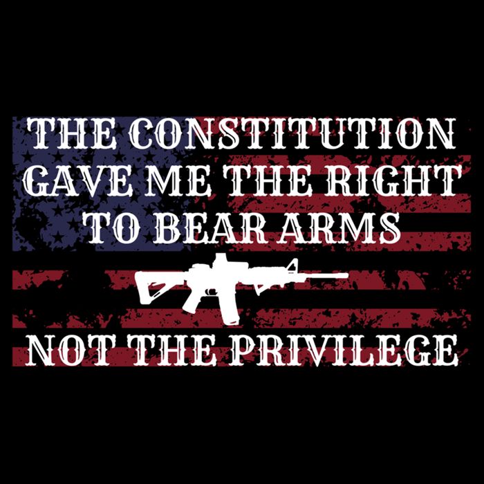 Usa Flag Constitution 2a Tee Right Not The Privilege Gift Flexfit Unipanel Trucker Cap