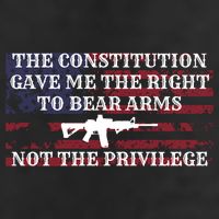 Usa Flag Constitution 2a Tee Right Not The Privilege Gift Beanie
