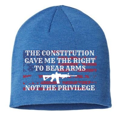 Usa Flag Constitution 2a Tee Right Not The Privilege Gift Sustainable Beanie