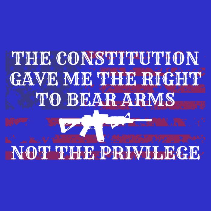 Usa Flag Constitution 2a Tee Right Not The Privilege Gift 16 in Basic Backpack