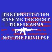 Usa Flag Constitution 2a Tee Right Not The Privilege Gift Stripe Pom Pom Beanie