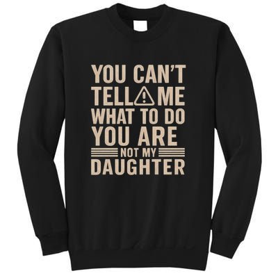 Unique Father's Day Gift for Dads Who Like to Share Their Wisdom Sweatshirt