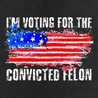 Us Flag Distressed Style I Am Voting For Convicted Felon Knit Cap Winter Beanie