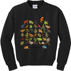 Ultimate Frog Guide Funny Frog Lover Frog Owner Frogs Kids Sweatshirt