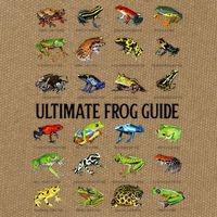 Ultimate Frog Guide Funny Frog Lovers Cotton Canvas Backpack