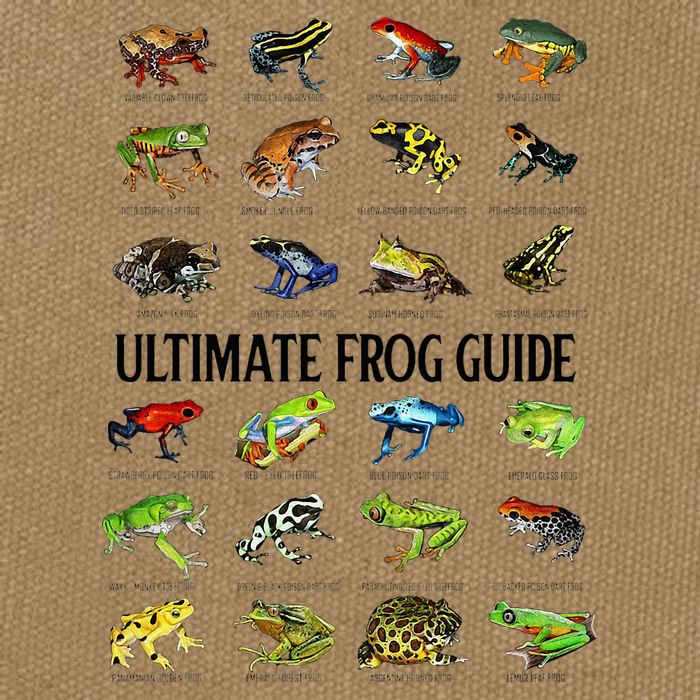Ultimate Frog Guide Funny Frog Lovers Cotton Canvas Backpack