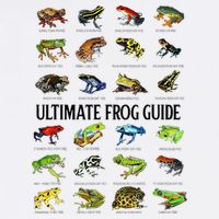 Ultimate Frog Guide Funny Frog Lovers Button