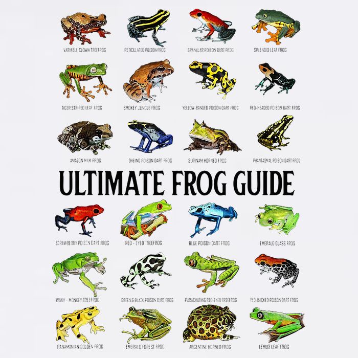 Ultimate Frog Guide Funny Frog Lovers Button