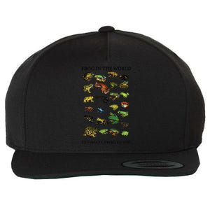 Ultimate Frog Guide Funny Frog Lover Frog Owner Frogs Wool Snapback Cap