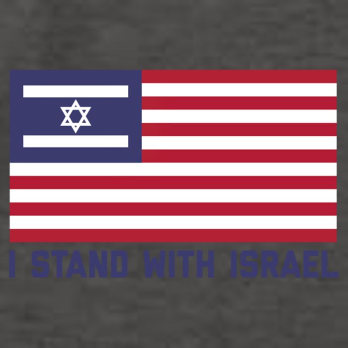 Us Flag Israeli Flag I Stand With Israel Gift Vector Backpack