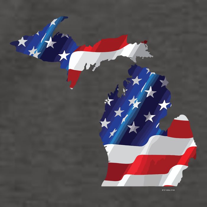 Us Flag Michigan Map Patriotic Great Lakes Gift Vector Backpack